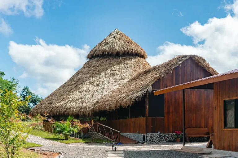 Análisis de Soltara Healing Center (Costa Rica): ¿El mejor retiro de Ayahuasca de América? 🌿