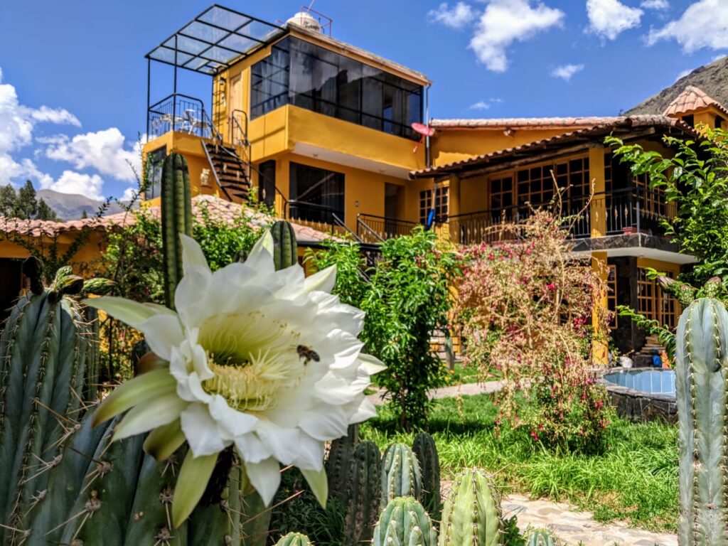 Patio interior de Huachuma Wasi con edificio principal y cactus San Pedro en flor, Valle Sagrado, Perú