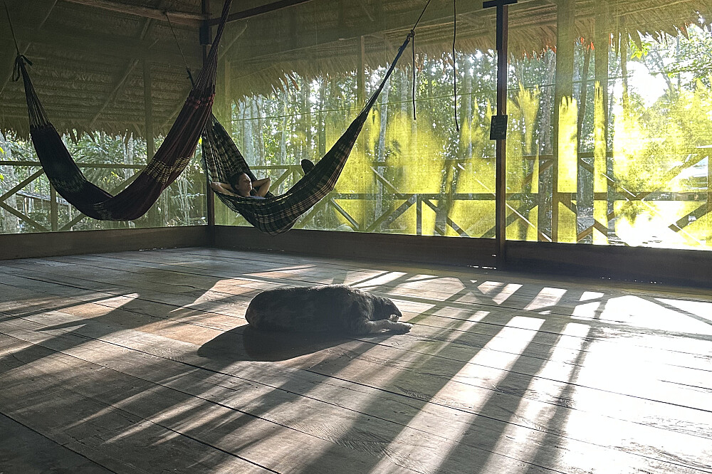 Sala común con hamacas y luz de la selva amazónica en White Rabbit Collective