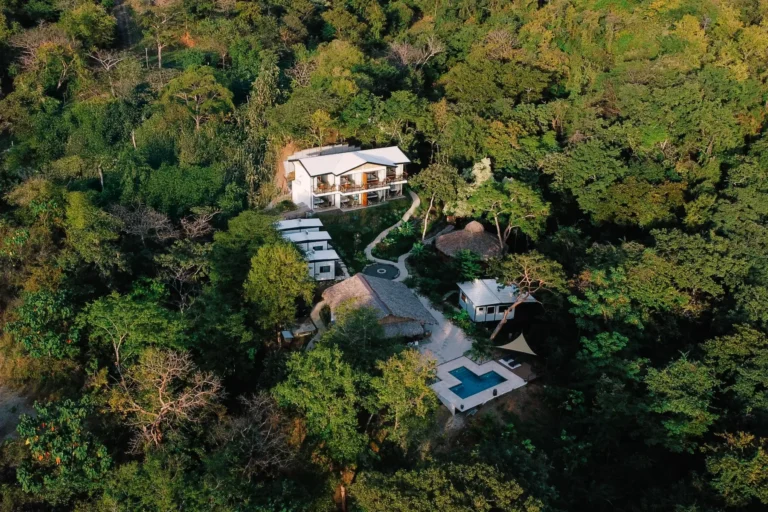 Análisis Honesto: Ananda Lodge (Costa Rica) — Psilocibina, Ayahuasca y San Pedro con Protocolo Estructurado